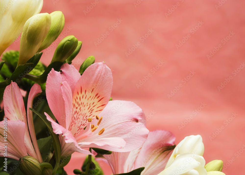 Pink and yellow flowers on abstract pink background with space for copy, mother’s day theme greeting card