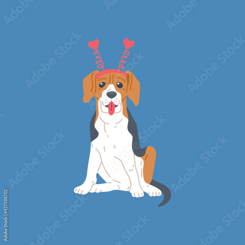 Dog beagle breed, cute pet animal, purebred puppy with brown and black spots.
