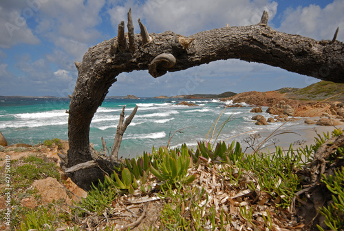 Parco Nazionale Arcipelago di La Maddalena. Paesaggio marino  localit   Bassa Trinita