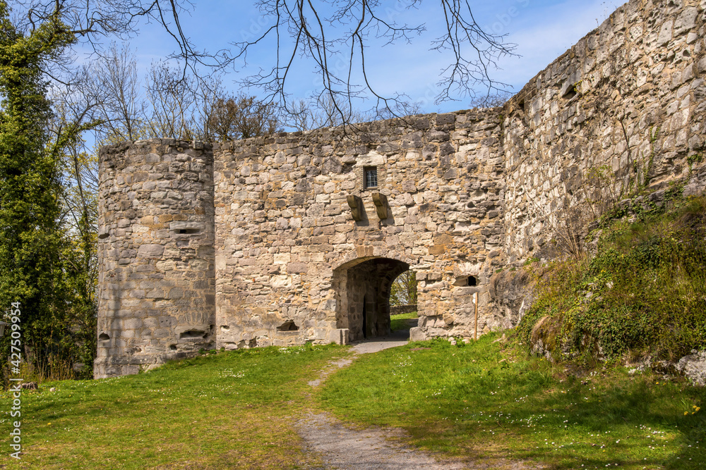 Burgruine Löwenstein, Torhaus (11. Jahrhundert) im Frühling - Löwenstein - Baden Württemberg. / Castle ruin Löwenstein, gatehouse (11th century) in spring - Löwenstein - Baden Wuerttemberg. 