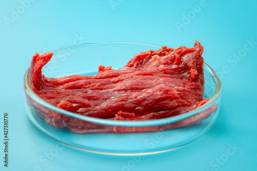 Food engineering, lab grown beef and the diet of the future concept with meat in glass petri dish isolated on blue background in science laboratory