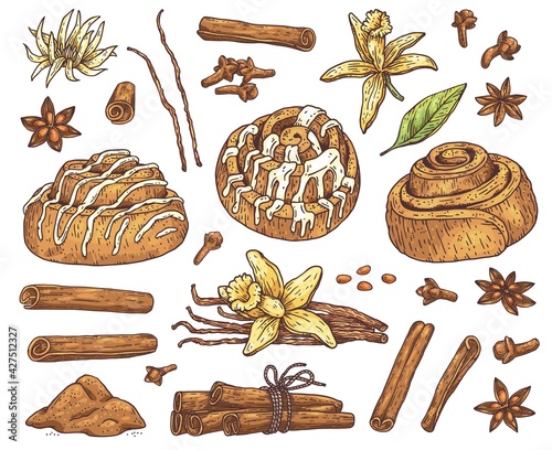 Kitchen cooking herbs and spices set, hand drawn vector illustration isolated.
