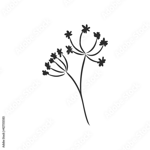 Ink, pencil, the leaves and flowers of Magnolia isolated. Line art transparent background. Hand drawn nature painting. Freehand sketching illustration.