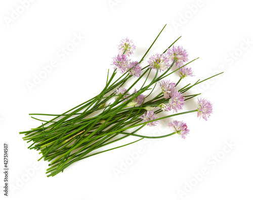 blooming chives isolated on white background