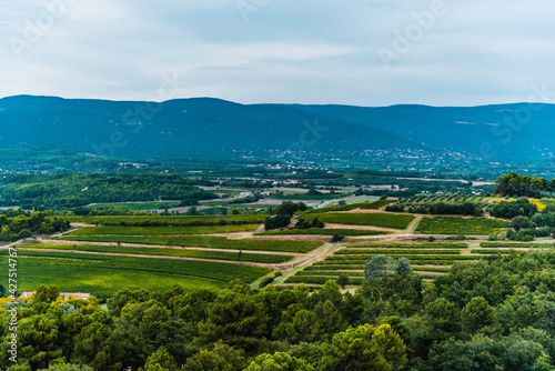 South France agriculture landscape view, green fields in a valley and hills of Roussillon, Provence