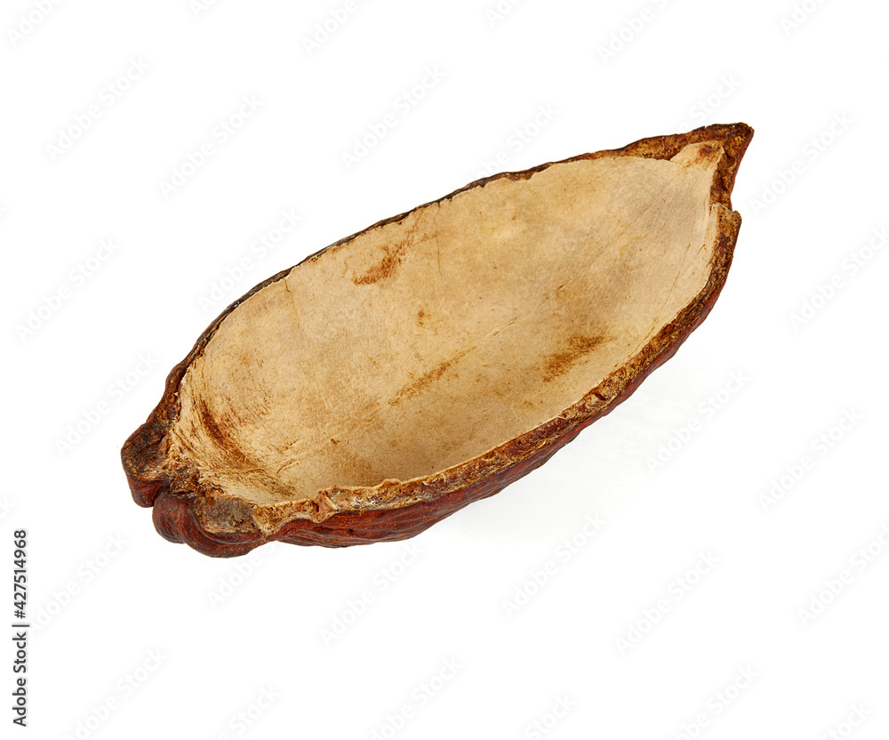 cocoa bean fuit isolated on white backrgound cocoa bean fuit isolated on white backrgound
