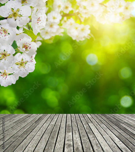 wooden table spring blossom