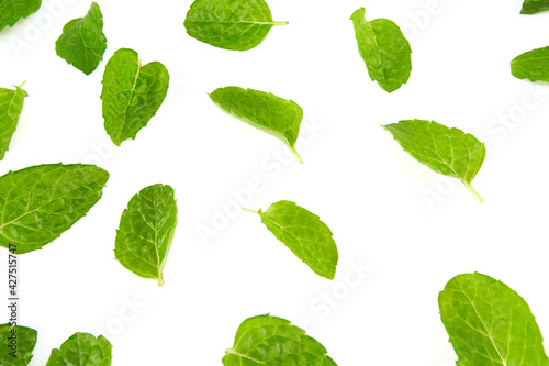 fresh mint isolated on white background