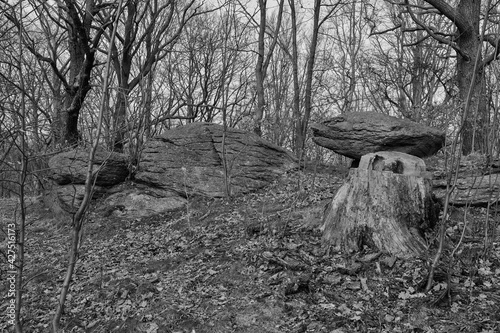 Large stones in a deciduous forest.