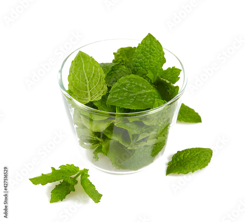 fresh mint isolated on white background