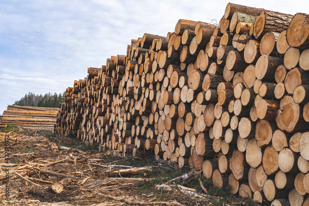 deforestation for roads, wood harvesting, wood as a renewable biological resource, deforestation area for highways