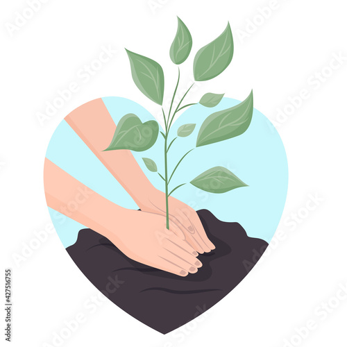 Human palms cover the ground with a young plant shoot. Concepts: concern for the environment, opposition to deforestation, planting plants. Vector illustration in a flat style.