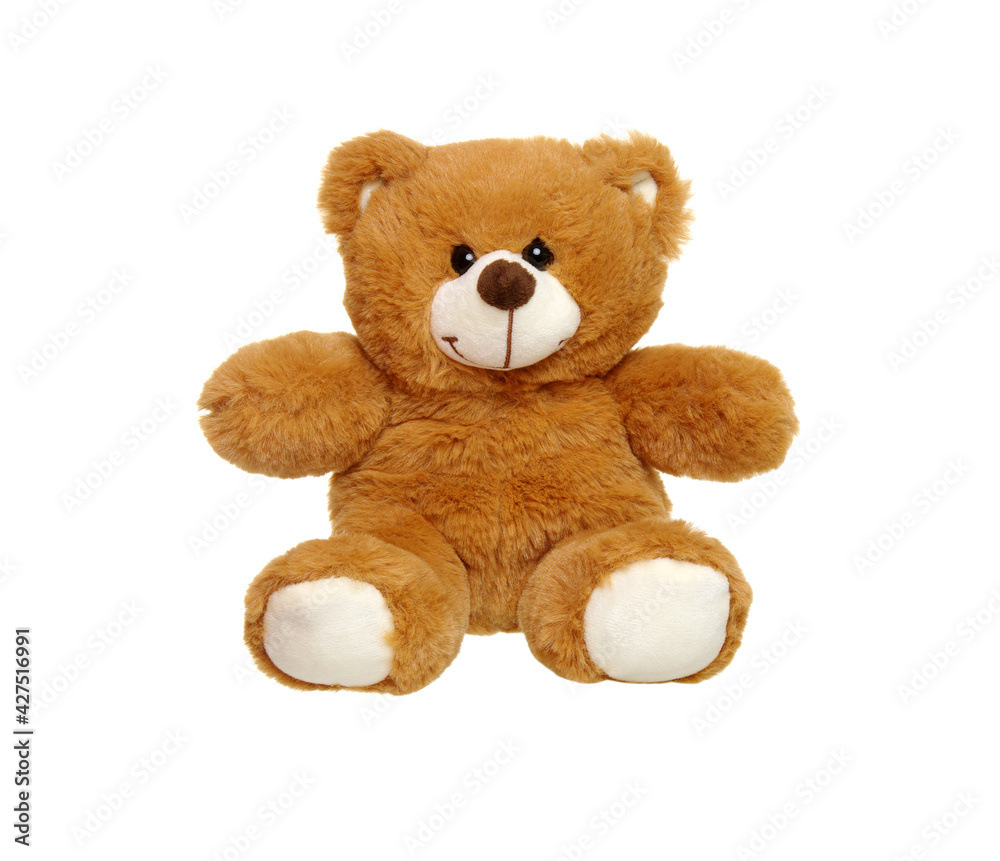 Obraz premium Teddy bear isolated on white