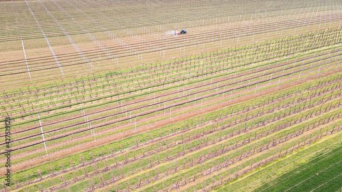 Aerial view of agricultural field in spring. Sprayer sprays orchard insecticide in orchard , spring season. 