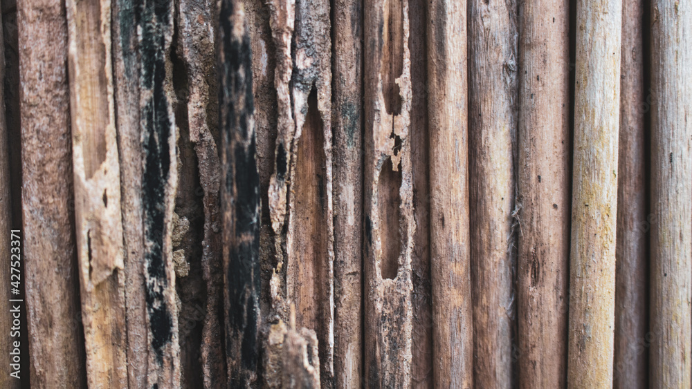 Old jute stick wall background with moss. Lovely old jute stick walls. Close up Vintage background Image.