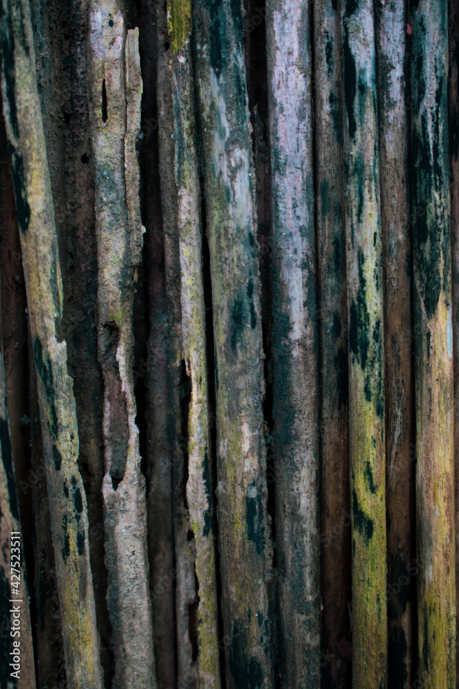 Old jute stick wall background with moss. Lovely old jute stick walls. Close up Vintage background Image. Old jute stick wall background with moss. Lovely old jute stick walls. Close up Vintage background Image.