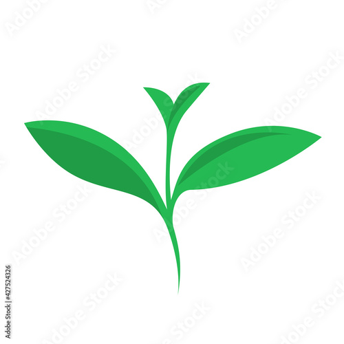 Green sprout of a plant on a white background. Ecology symbol. Vector isolated flat illustration