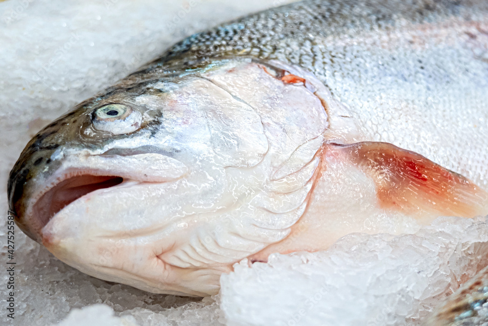 The head of the salmon trout, the fish on the counter of the store, is covered with ice for better preservation.