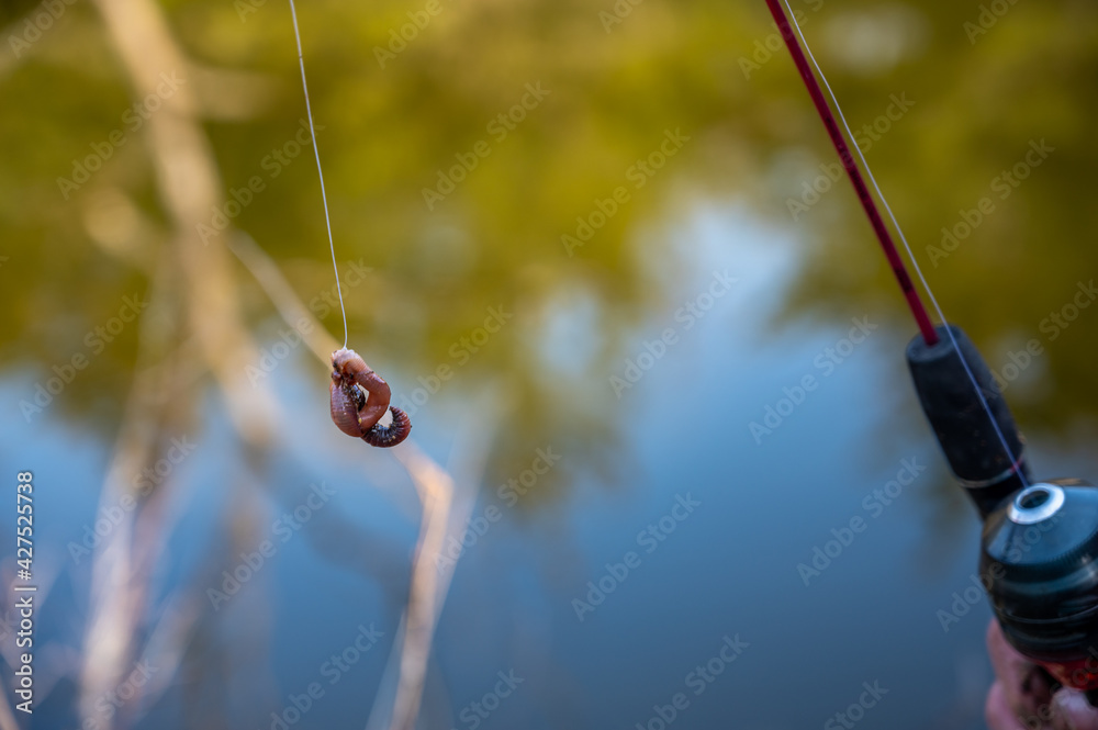 Hook baited with live worm hanging from fishing line Stock Photo