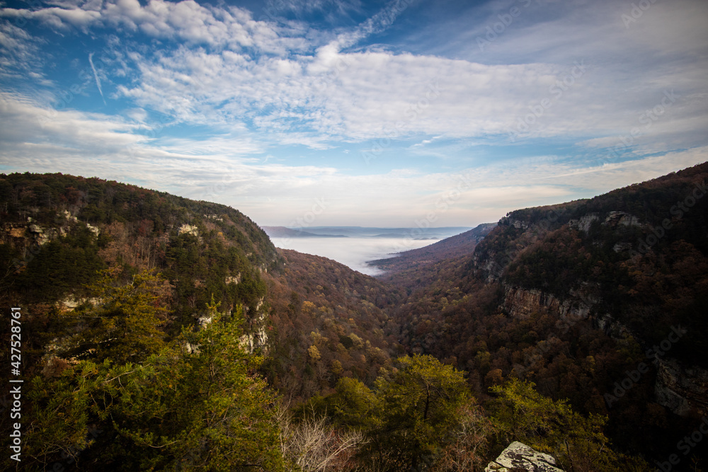 An afternoon in Cloudland Canyon State Park, Georgia