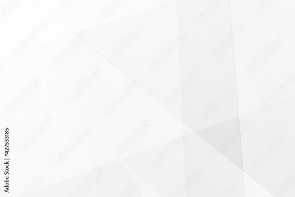 Fototapeta premium Abstract white and grey on light silver background modern design. Vector illustration EPS 10.