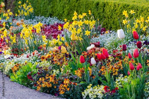 Parterre fleuri en ville de Bâle, avril 2021