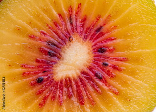 Macro shot of juicy red kiwi slice.