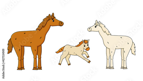 Cute outline cartoon hand drawn house family. Brown Male father, white female mother and baby horse foal kid runs and jumps vector doodle farm animals isolated illustration on white background