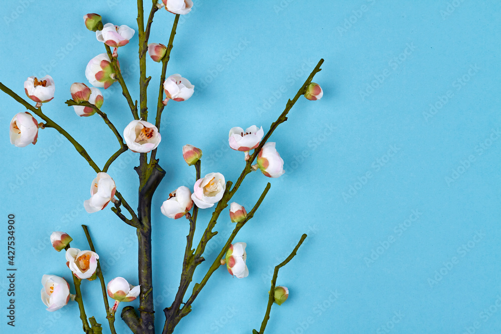Branch of white spring flowers. Branch of white spring flowers.