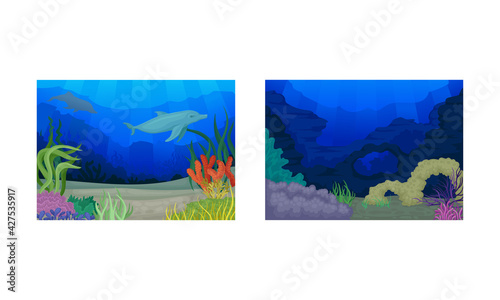 Underwater Bottom View with Algae and Sea Weeds Vector Set.