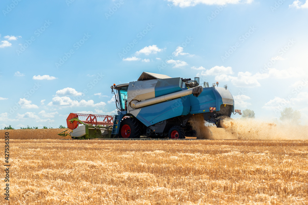 Scenic front view Big powerful industrial combine harvester machine reaping golden ripe wheat cereal field on bright summer or autumn day. Agricultural yellow field machinery landscape background Scenic front view Big powerful industrial combine harvester machine reaping golden ripe wheat cereal field on bright summer or autumn day. Agricultural yellow field machinery landscape background