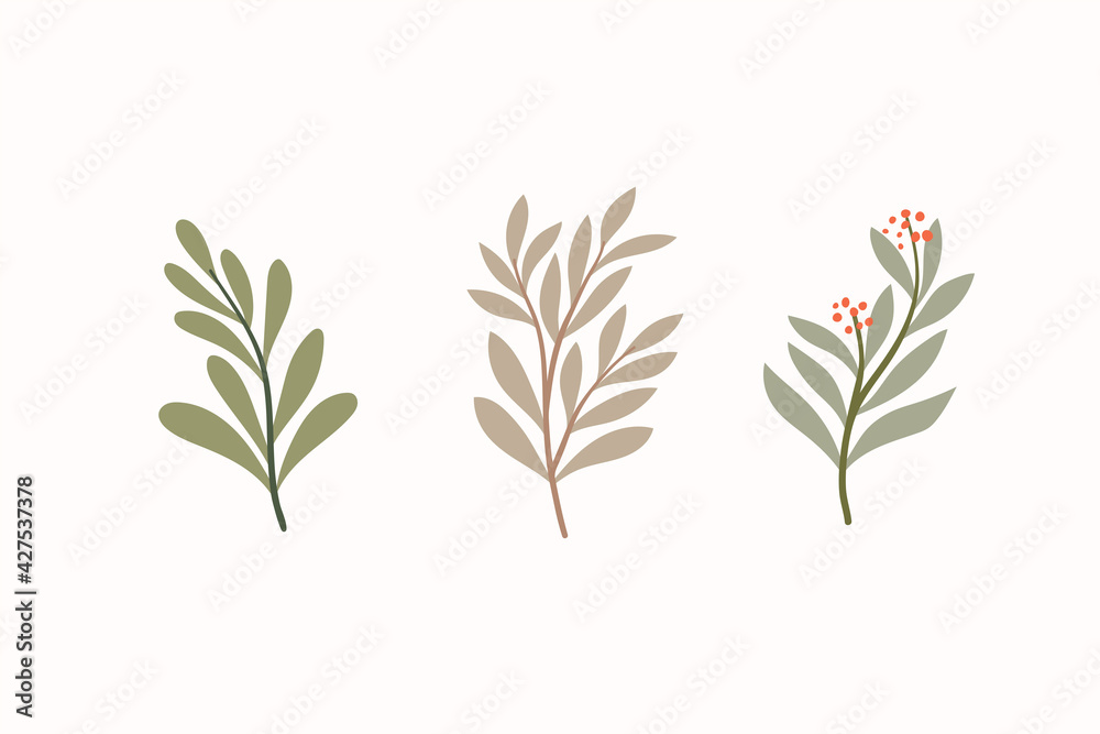 Obraz premium Set of botanical vector elements. Hand drawn illustration with leaves and plants. Floral ornaments for card, logo design, print fashion.