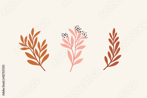 Set of botanical vector elements. Hand drawn illustration with leaves and plants.  Floral ornaments for card, logo design, print fashion.