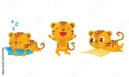 Cute Striped Tiger Sleeping on Pillow and Reading Book Vector Set