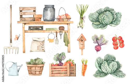 Watercolor Garden harvest illustrations with garden tools, vegetables, plants and farm objects. Spring summer seasons.Cartoon style. Perfect for cards, posters, prints, social media, advertise