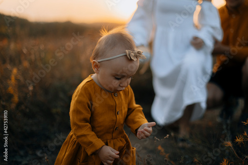 baby collects grass in the field. a little girl in a brown dress stands in the middle of a field at a beautiful sunset. portrait of a little girl with her parents on the background.