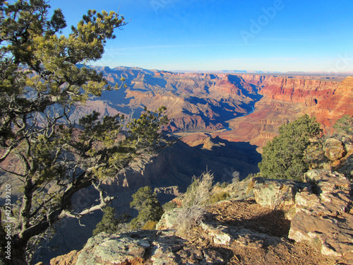 scenic view of the colorado river in the grand canyon