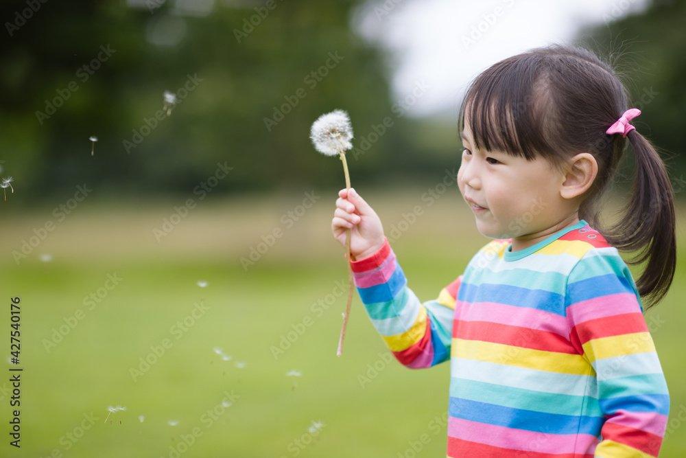 young girl blowing dandelion in the summer garden morning young girl blowing dandelion in the summer garden morning