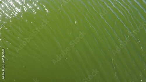 Top view of moving water sucked into funnel. Hypnotic feel.