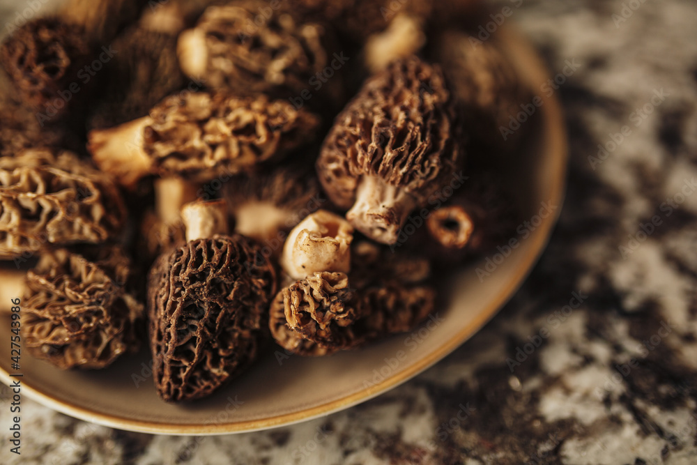 A close up shot of raw organic morel mushrooms. Concept of gourmet food and French cuisine A close up shot of raw organic morel mushrooms. Concept of gourmet food and French cuisine