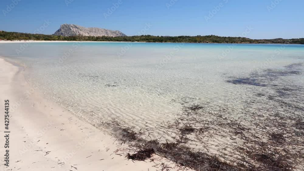 La Bellissima Spiaggia di Cala Brandinchi in località coda cavallo, Sardegna La Bellissima Spiaggia di Cala Brandinchi in località coda cavallo, Sardegna