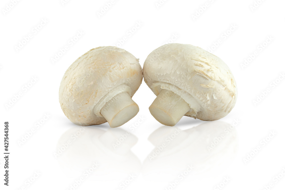 Two champignons are isolated on a white background