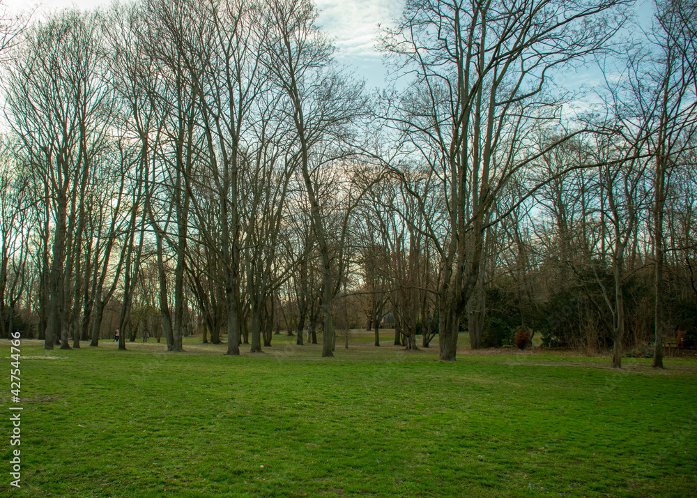 Obraz premium Landscape at Volkspark Humboldthain in Gesundbrunnen Berlin Germany