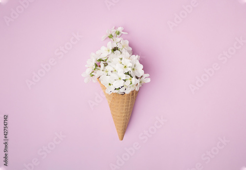 White cherry blossom in a brown cone. Pink background.