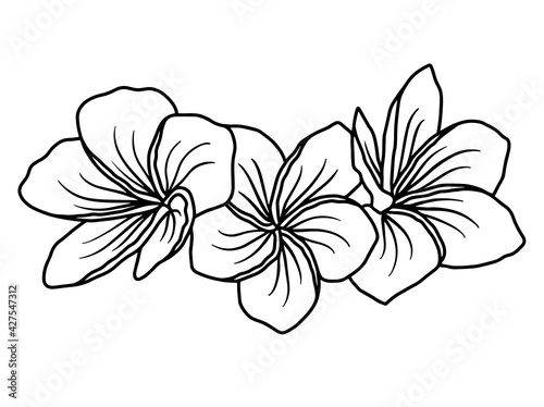 Flowers Line Art. You can use this beautiful file to print on greeting card, frame, mugs, shopping bags, wall art, telephone boxes, wedding invitation, stickers, decorations, and t-shirts.
