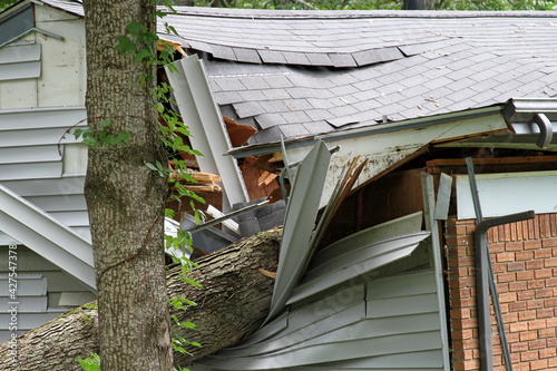 Tree Falls Ripping Into the Side of a House Destroying It