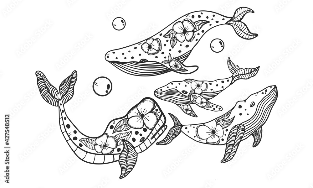 Group of Whales swimming Group of Whales swimming