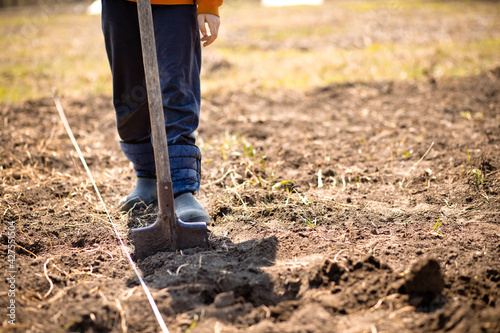 farmer man boot on spade prepare for digging. Worker loosen black dirt soil with shovel in garden at farm. griculture concept, photo