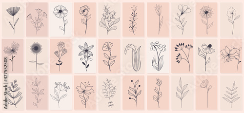 Set of beautiful hand drawn of floral with leaves and branches, floral sketch collection. Flowering plants and wild herbs hand drawn. Isolated vector icons set