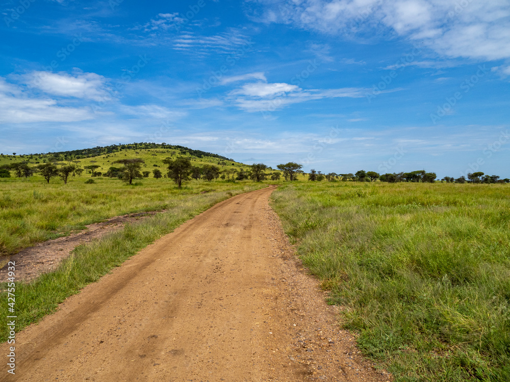Dirt road through Serengeti National Park, Tanzania